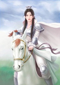 十境战纪